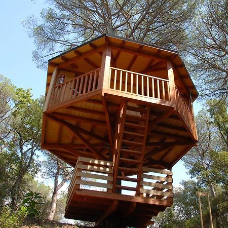 Cabanes Dosrius Canyamas Phòng bức ảnh